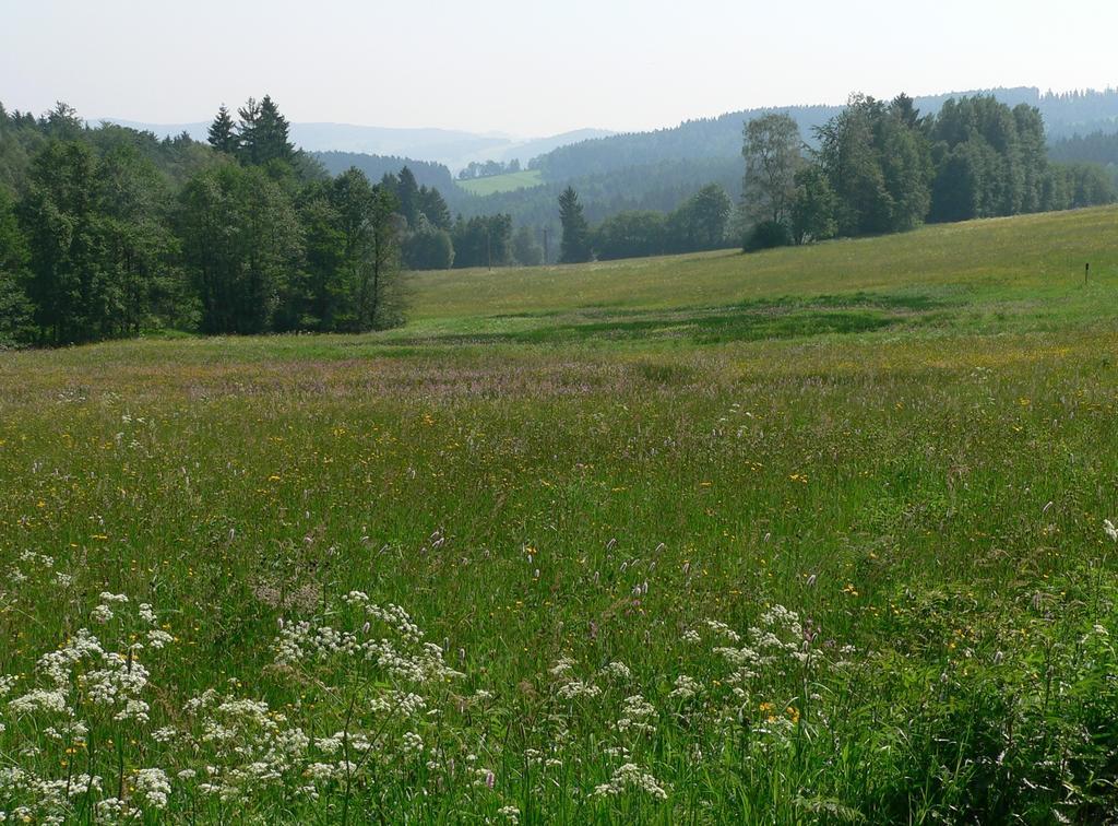 Hotel & Restaurant Danelchristelgut Lauter Zewnętrze zdjęcie